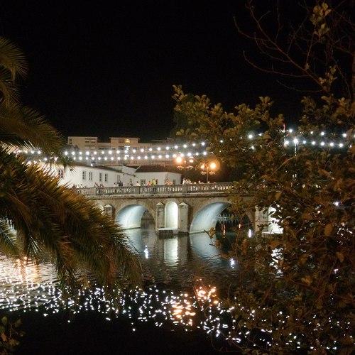 Photo #3740371