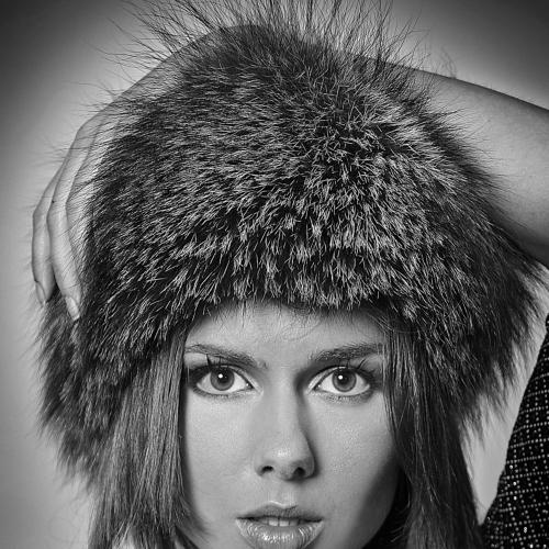 Photo #3741257
