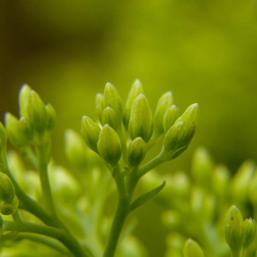 Photo #3741270