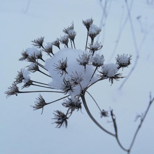 Photo #3741380
