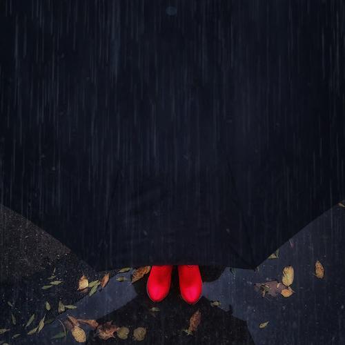 Photo #3741643