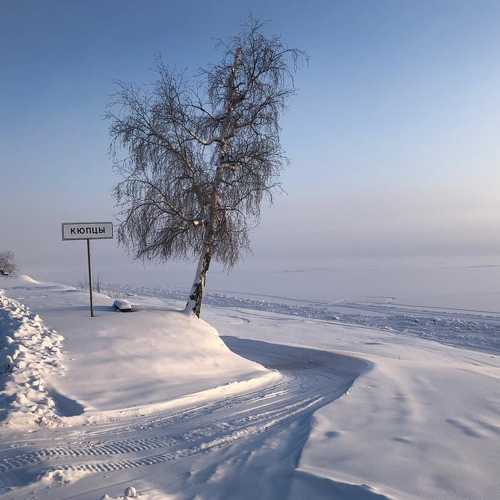 Photo #3742152