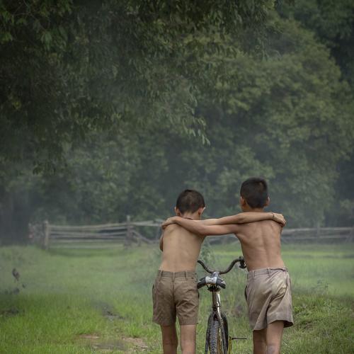 Photo #3742238