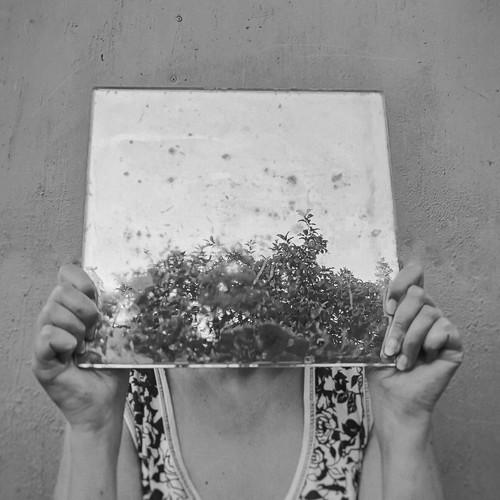 Photo #3742604