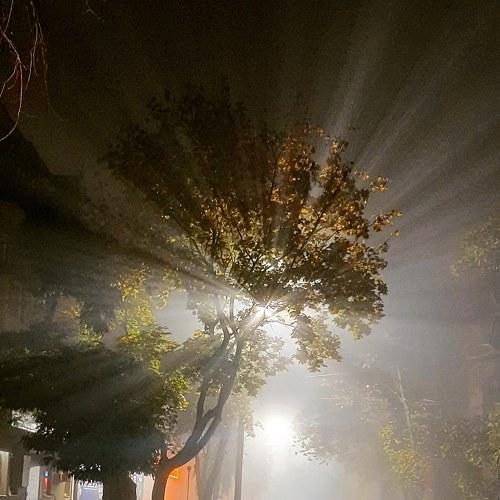 Photo #3744246