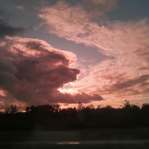 Photo #3744398