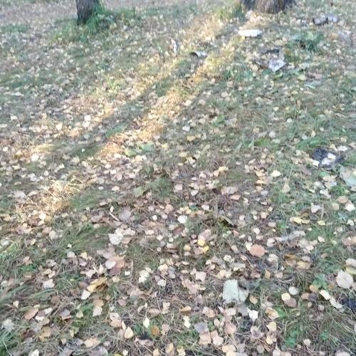 Photo #3744536