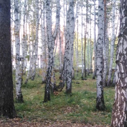 Photo #3744539