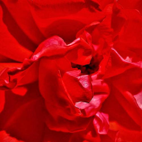 Photo #3745155