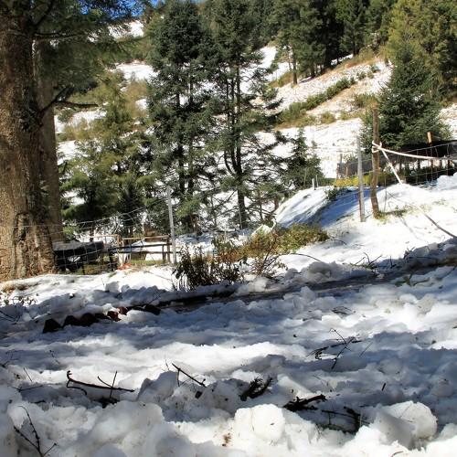 Photo #3745474