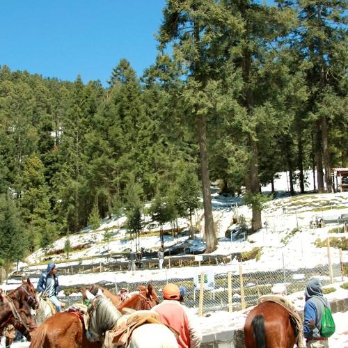 Photo #3745480