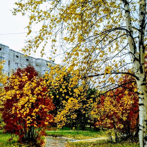 Краски осени.