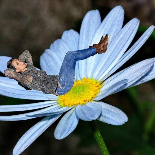 Photo #3745908