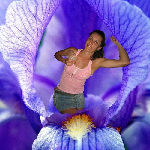 Photo #3745920