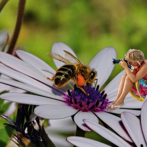 Photo #3745921