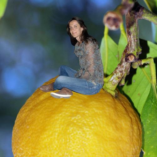 Photo #3745922