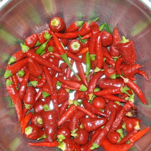 Photo #3745996