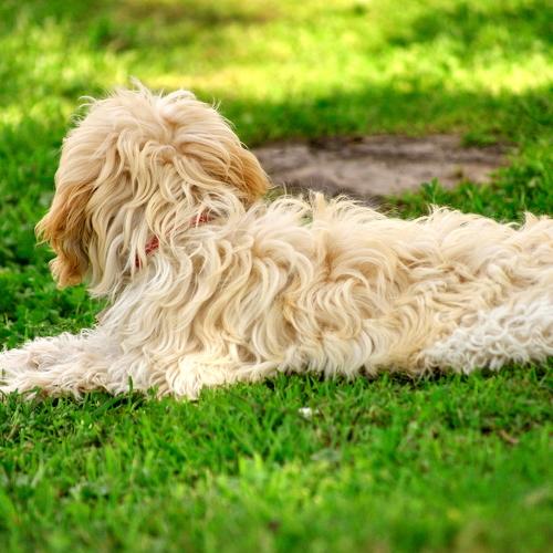 Photo #3746009
