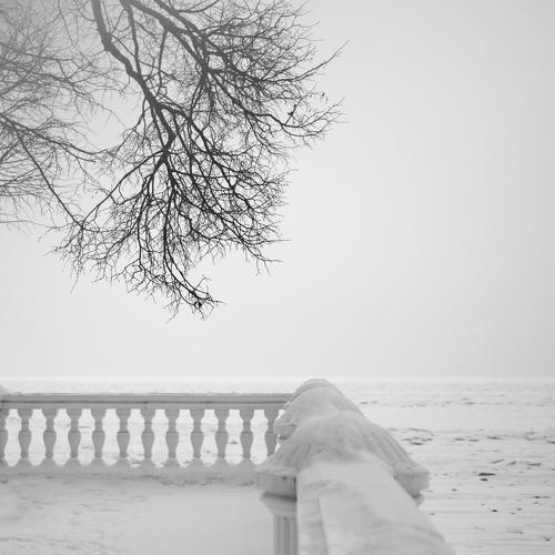 Photo #3746267