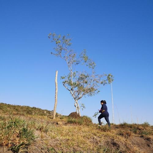 Photo #3746387