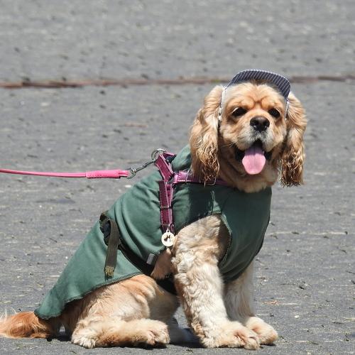 Photo #3746547
