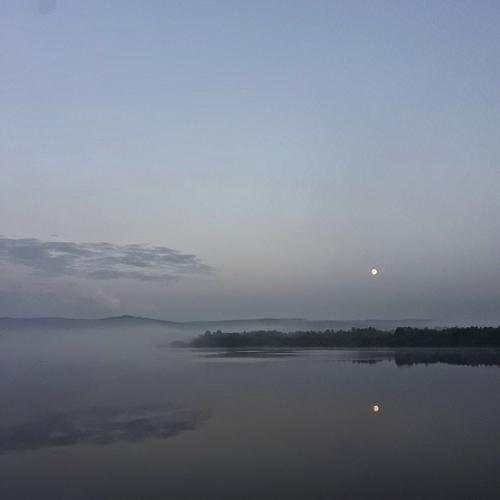 Photo #3746741