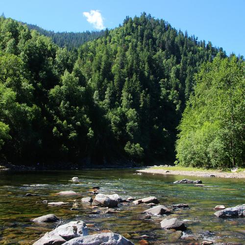 Photo #3746798