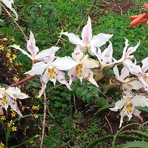 Photo #3746864
