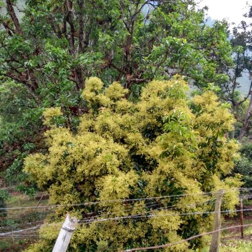 Photo #3746866