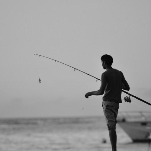 Photo #3747218