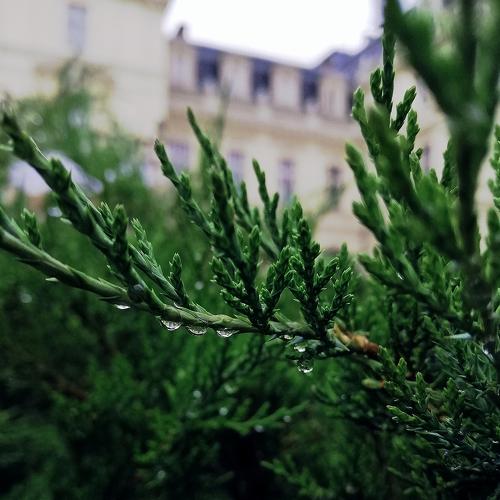 Photo #3747257