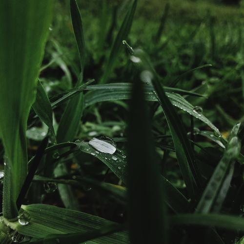 Photo #3747259