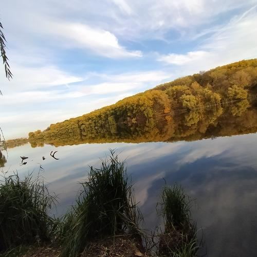 Photo #3747400