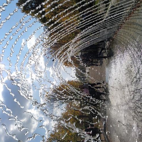 Photo #3747404
