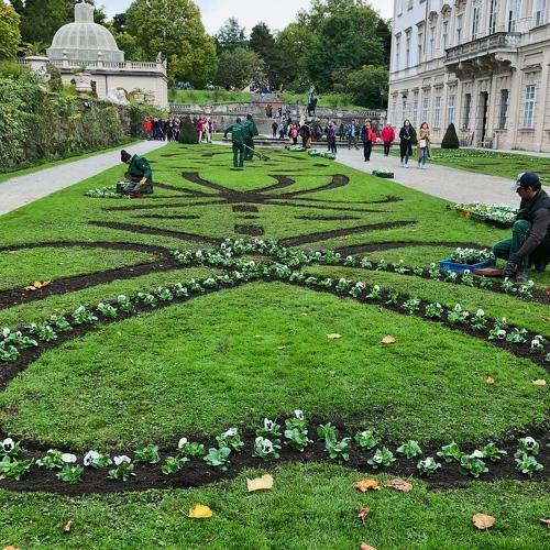 Photo #3747418
