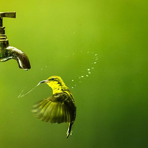 Photo #3747419