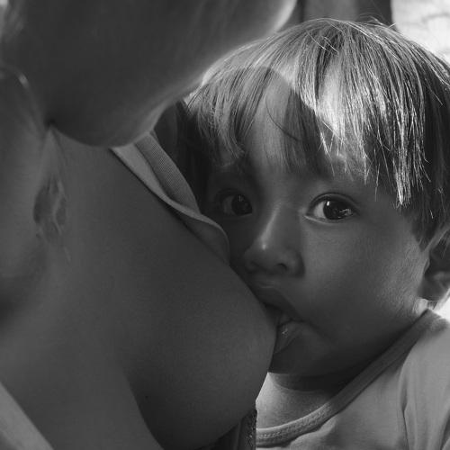 Photo #3748005