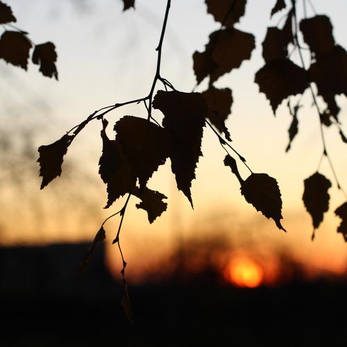 Photo #3748178