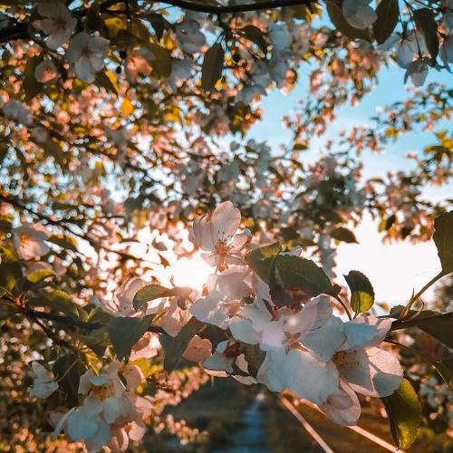Photo #3748183