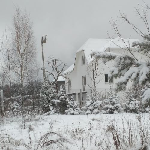 Photo #3748625