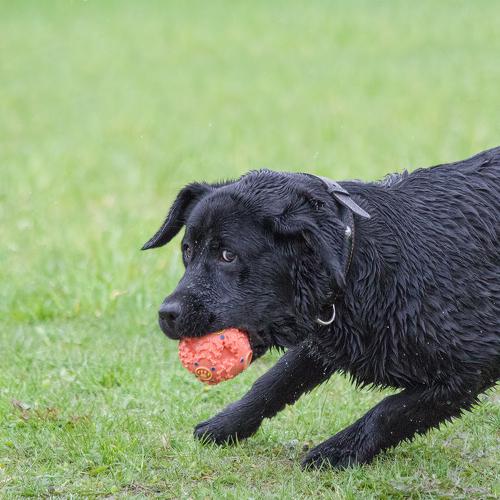 Photo #3748893