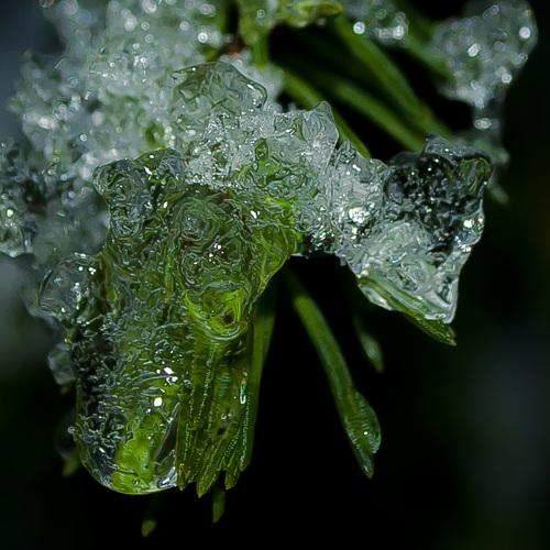 Photo #3749055