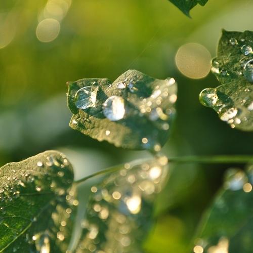 Photo #3749058