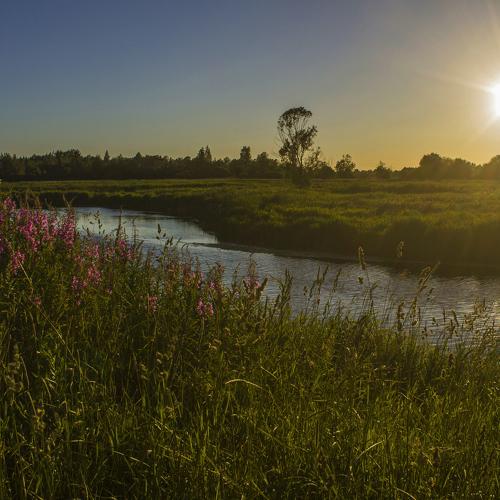 Photo #3749427