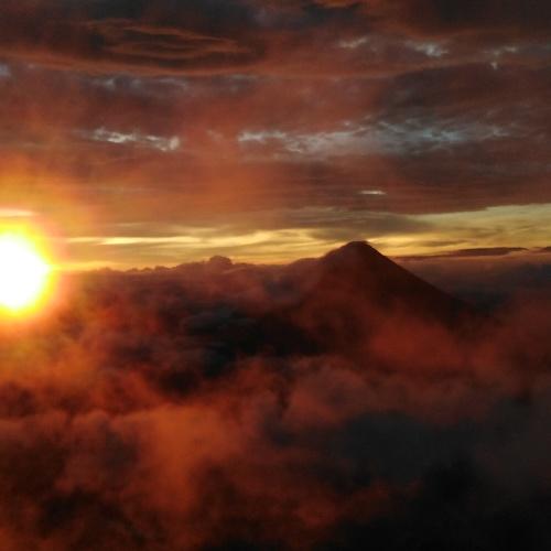 Photo #3749587