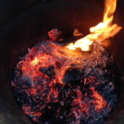 Photo #3749700