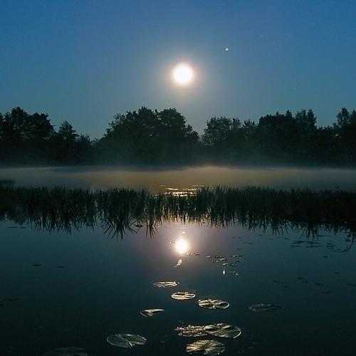 Photo #3749806