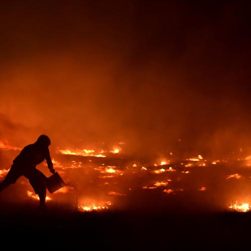 Photo #3749820