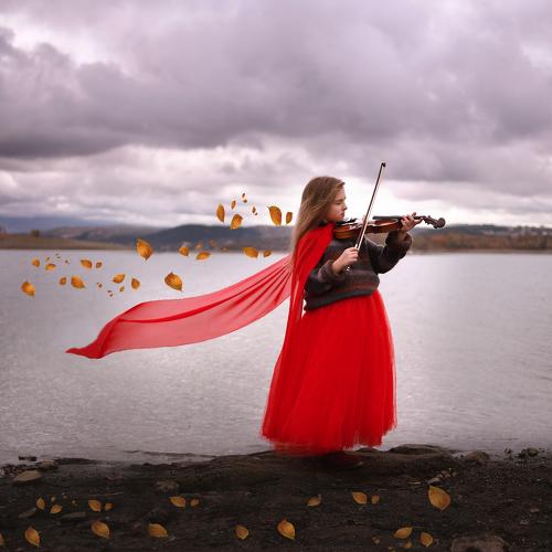 Photo #3750414