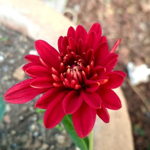 Photo #3750485